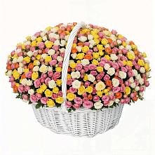 Премиум букет из: Розы в Иваново