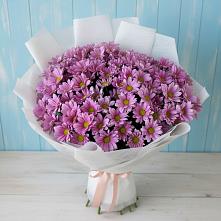 Букет цветов из:  Хризантемы в Иваново