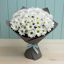 Букет цветов из:  Хризантемы в Иваново