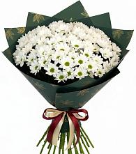 Букет цветов из:  Хризантемы #REPLACE_PRED# Иваново