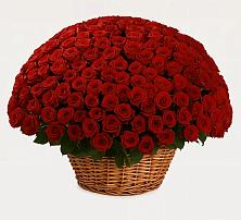 Премиум букет из: Розы в Иваново