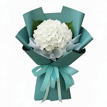 Букет цветов из:  Гортензия в Иваново